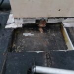 WhatsApp Image 2023-10-25 at 21.37.51 (3)