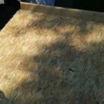 WhatsApp Image 2023-10-25 at 21.37.54 (1)