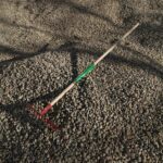 WhatsApp Image 2023-10-25 at 21.38.10